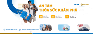 Bảo Hiểm Du Lịch Flexi Bảo Việt